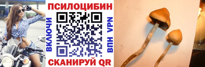 Галлюциногенные грибы мухоморы  kraken зеркало  Рыбинск 